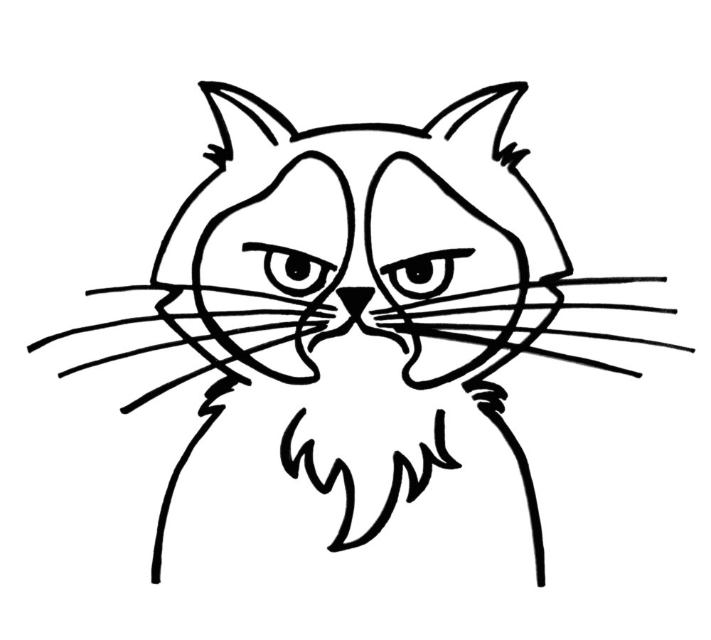 Grumpy Cat
